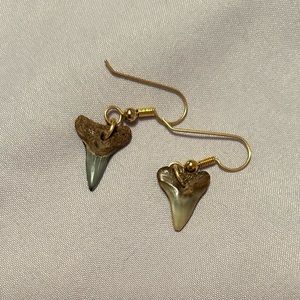 Genuine Sharks tooth earrings pre historic
